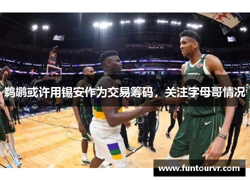 鹈鹕或许用锡安作为交易筹码，关注字母哥情况