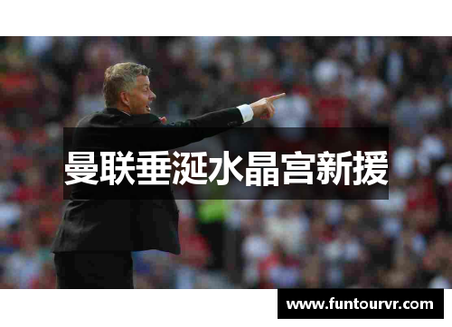 曼联垂涎水晶宫新援